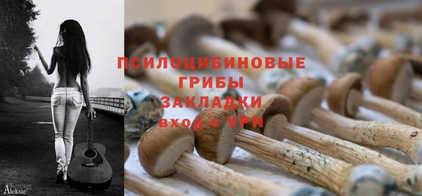 синтетический гашиш Алексеевка