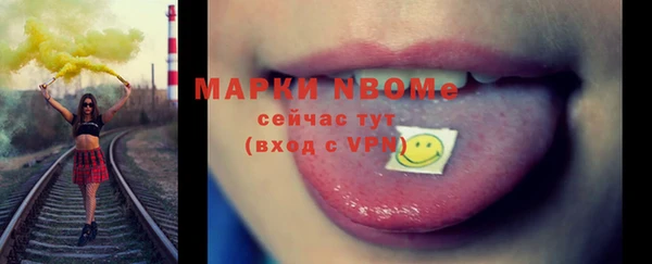 шишки Алексин