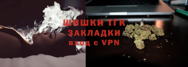 шишки Алексин