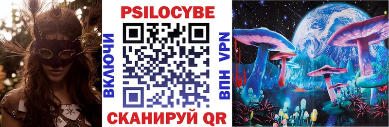 Псилоцибиновые грибы Psilocybe Анжеро-Судженск